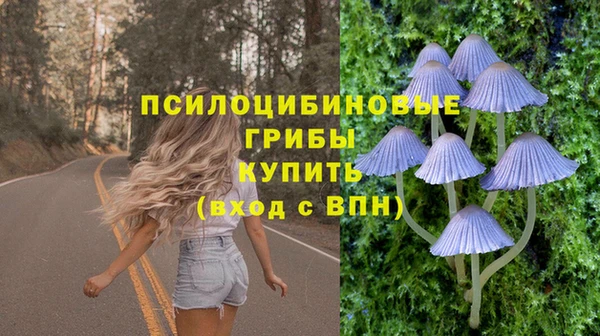 стафф Горнозаводск